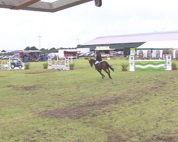 Reitturnier Behrendorf 2016