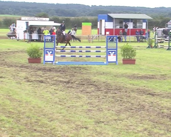 Reitturnier Behrendorf 2016