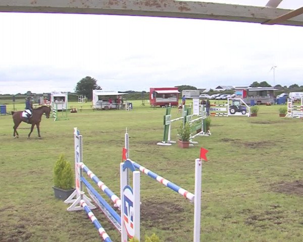 Reitturnier Behrendorf 2016