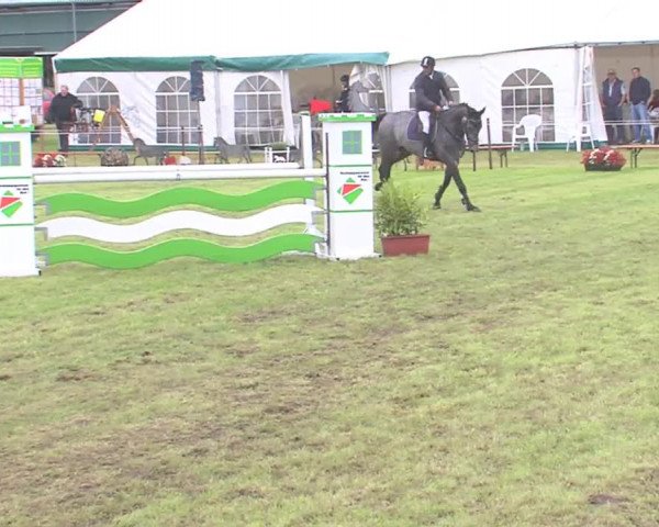 Reitturnier Behrendorf 2016