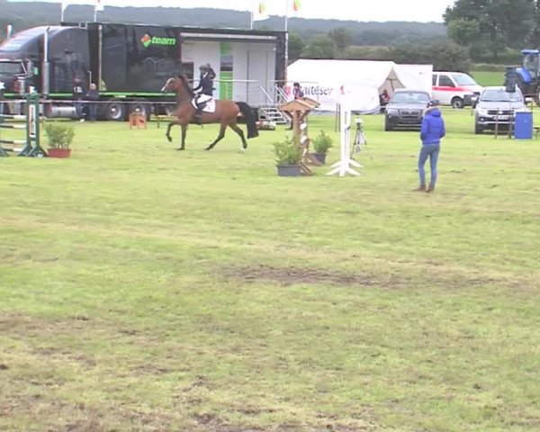 Reitturnier Behrendorf 2016