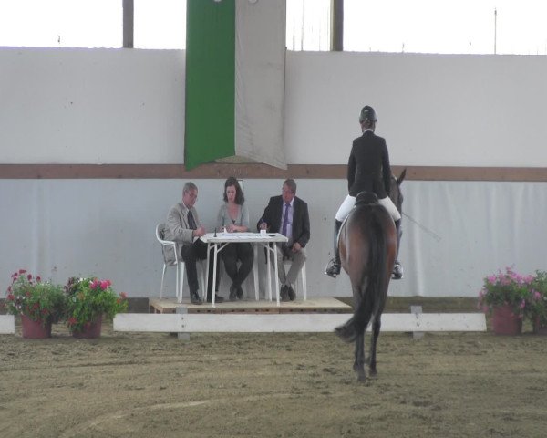 Waltroper Reitertage 2016