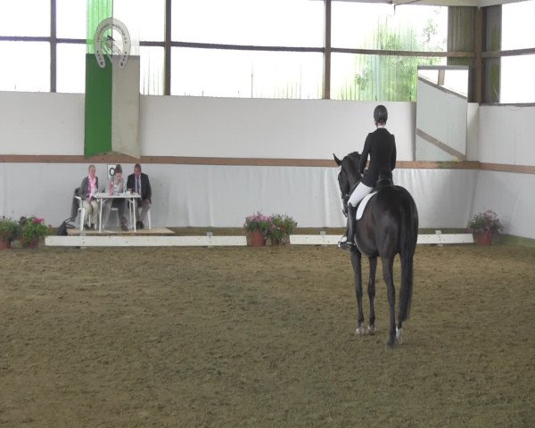 Waltroper Reitertage 2016