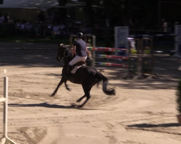Reitturnier Neunkirchen-Salchendorf 2016