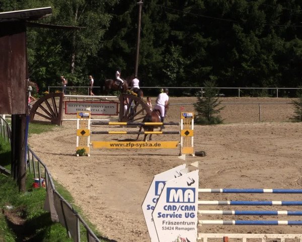 Reitturnier Neunkirchen-Salchendorf 2016