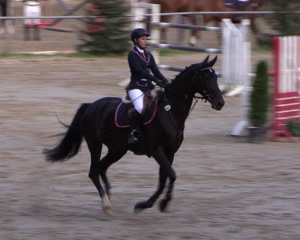 Reitturnier Neunkirchen-Salchendorf 2016