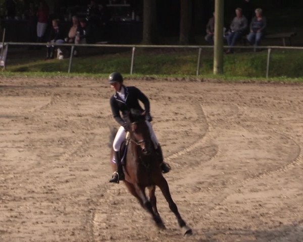 Reitturnier Neunkirchen-Salchendorf 2016