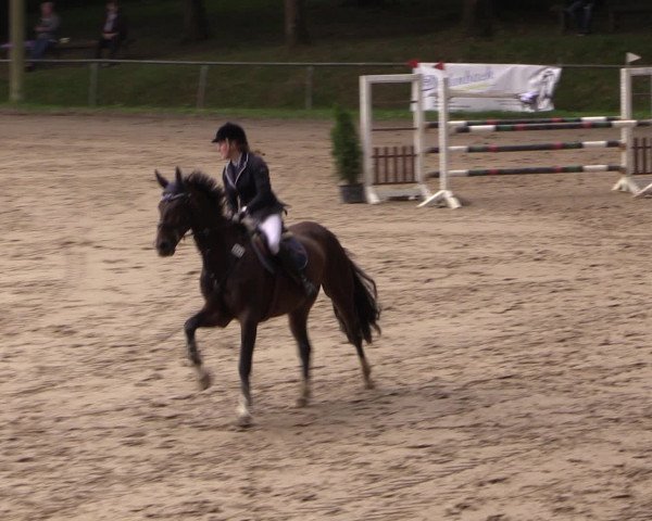 Reitturnier Neunkirchen-Salchendorf 2016