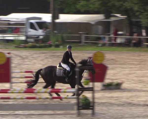 Reitturnier Neunkirchen-Salchendorf 2016