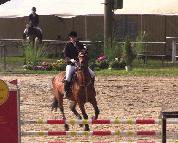 Reitturnier Neunkirchen-Salchendorf 2016