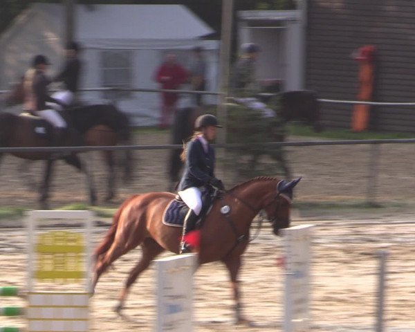 Reitturnier Neunkirchen-Salchendorf 2016