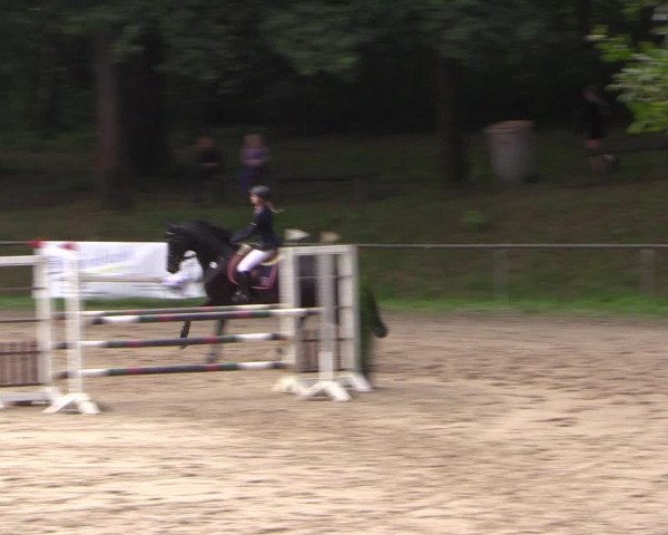 Reitturnier Neunkirchen-Salchendorf 2016