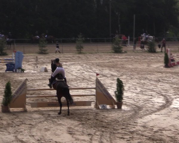 Reitturnier Neunkirchen-Salchendorf 2016