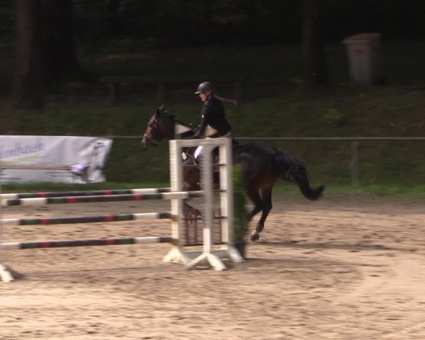 Reitturnier Neunkirchen-Salchendorf 2016