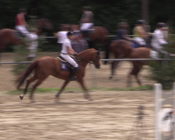 Reitturnier Neunkirchen-Salchendorf 2016