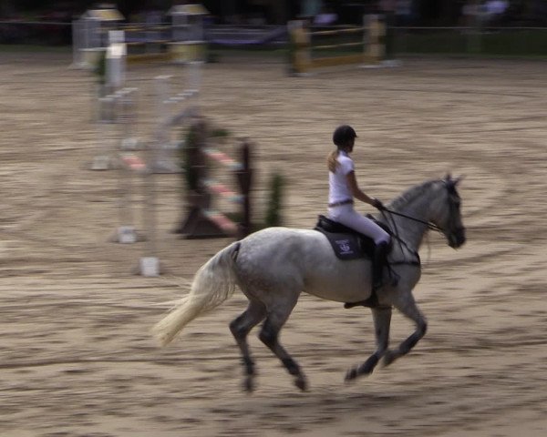 Reitturnier Neunkirchen-Salchendorf 2016