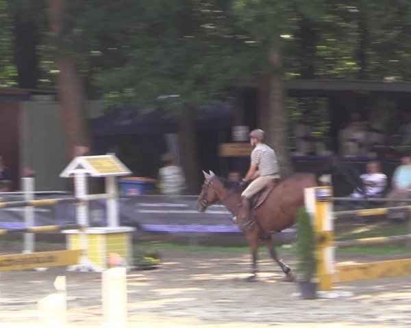 Reitturnier Neunkirchen-Salchendorf 2016