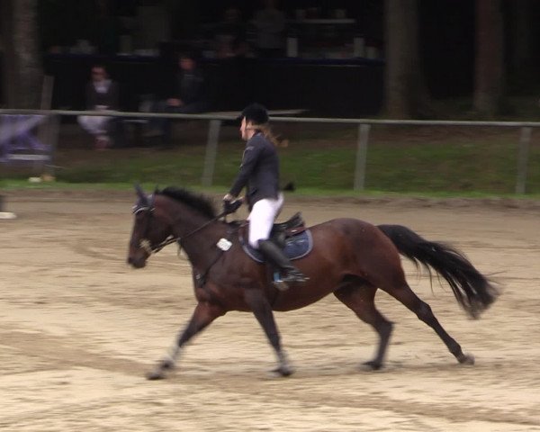 Reitturnier Neunkirchen-Salchendorf 2016