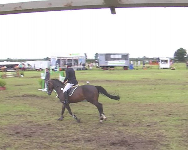 Reitturnier Behrendorf 2016