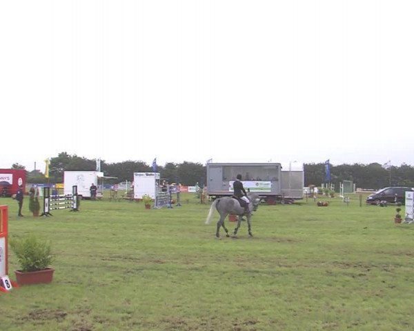 Reitturnier Behrendorf 2016
