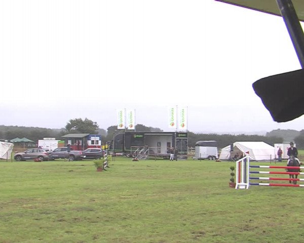 Reitturnier Behrendorf 2016
