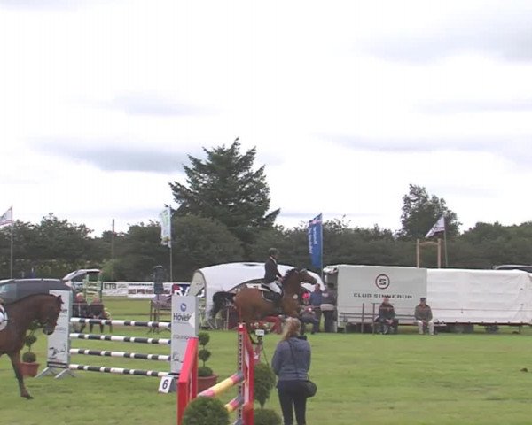 Reitturnier Behrendorf 2016