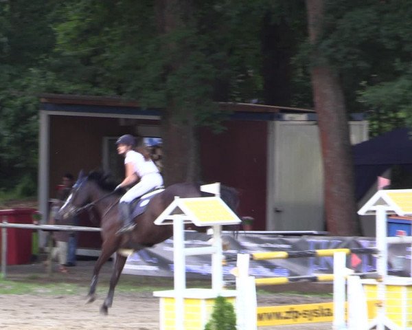 Reitturnier Neunkirchen-Salchendorf 2016
