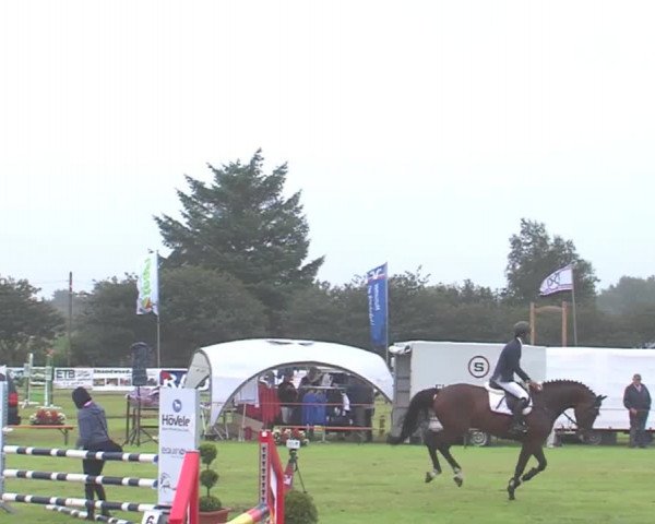 Reitturnier Behrendorf 2016