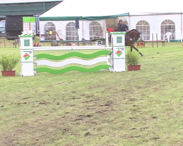 Reitturnier Behrendorf 2016