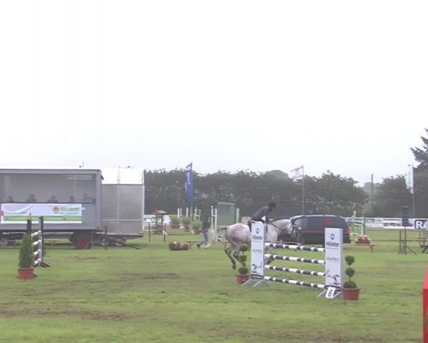 Reitturnier Behrendorf 2016