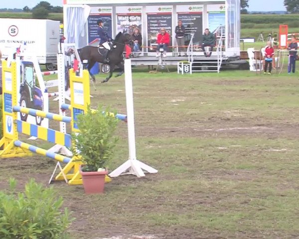 Reitturnier Behrendorf 2016