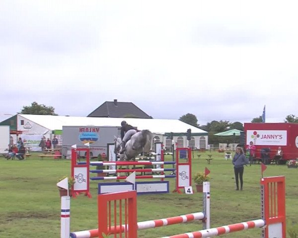 Reitturnier Behrendorf 2016