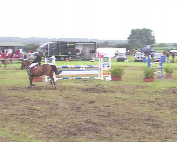 Reitturnier Behrendorf 2016