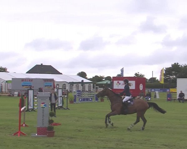 Reitturnier Behrendorf 2016