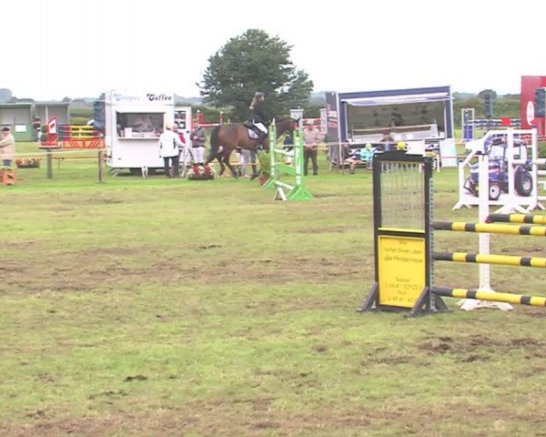 Reitturnier Behrendorf 2016