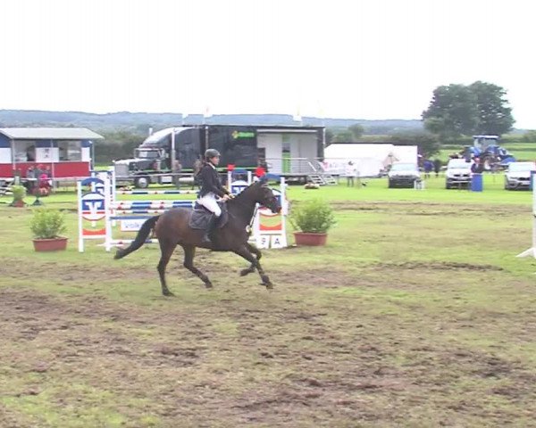 Reitturnier Behrendorf 2016