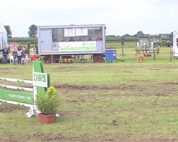 Reitturnier Behrendorf 2016