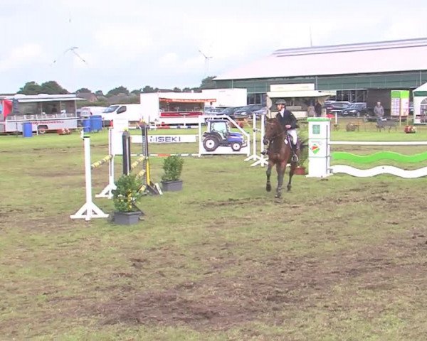 Reitturnier Behrendorf 2016