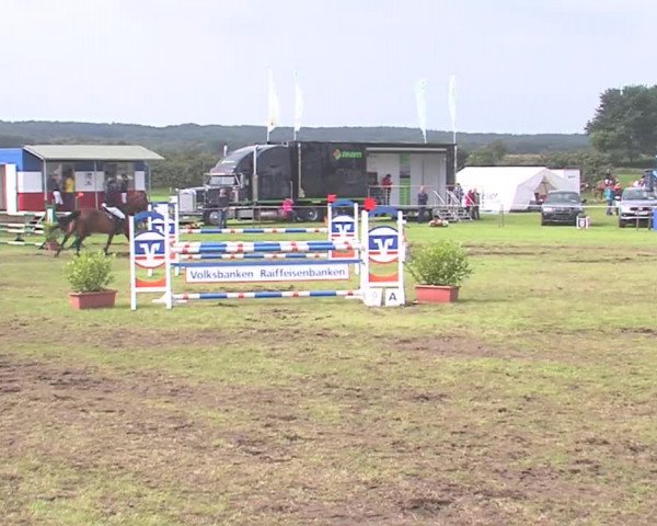 Reitturnier Behrendorf 2016