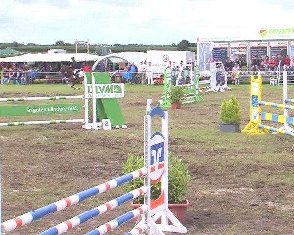 Reitturnier Behrendorf 2016