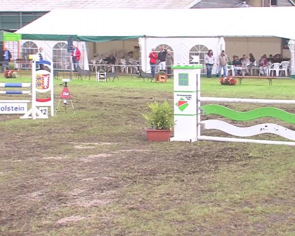 Reitturnier Behrendorf 2016