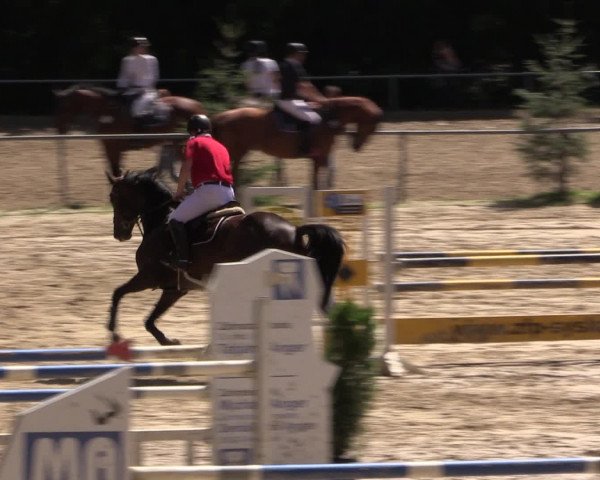Reitturnier Neunkirchen-Salchendorf 2016