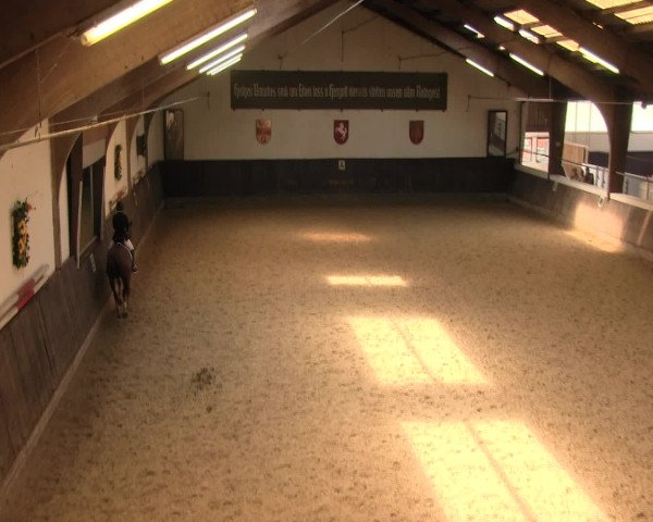 Reitturnier Olfen-Vinnum 2016