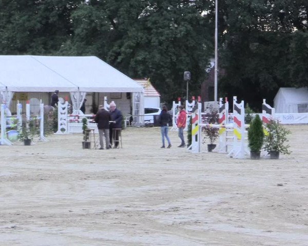 Waltroper Reitertage 2016