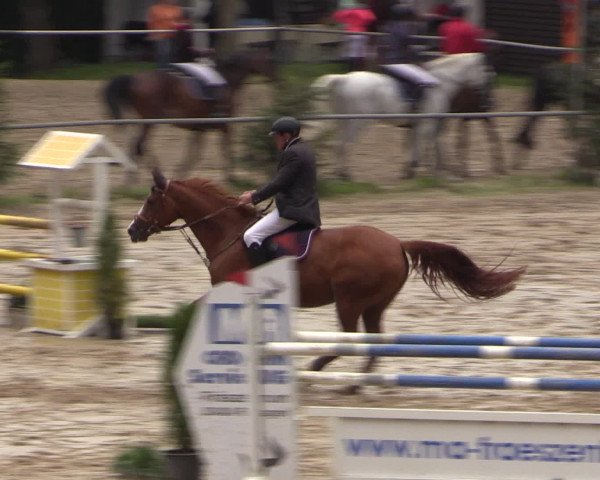 Reitturnier Neunkirchen-Salchendorf 2016