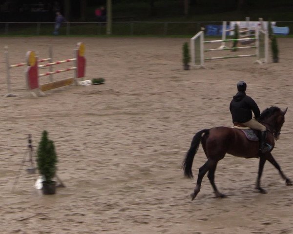 Reitturnier Neunkirchen-Salchendorf 2016