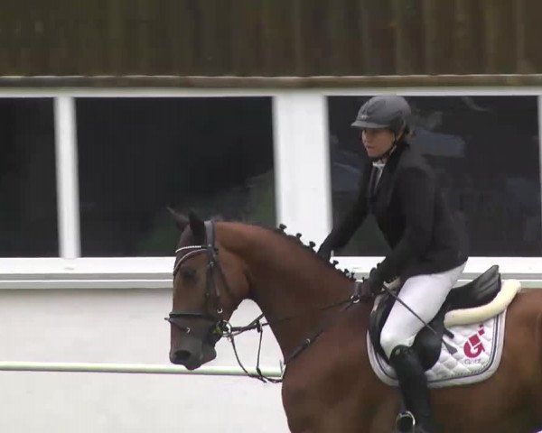 Reitturnier Memmingen 2016
