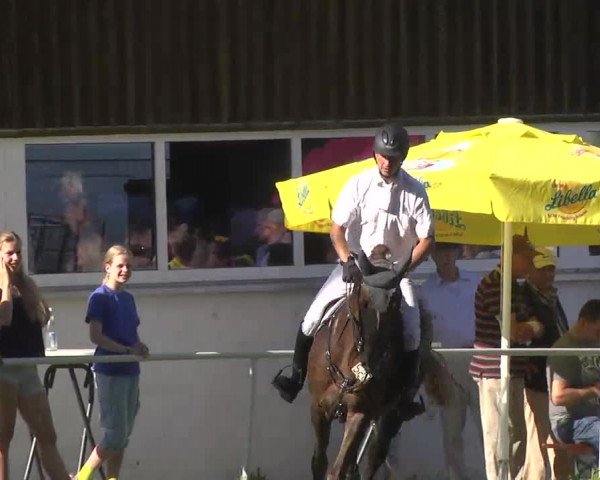Reitturnier Memmingen 2016