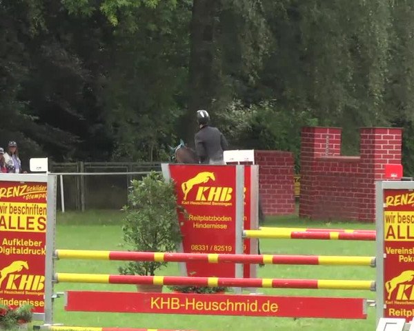 Reitturnier Memmingen 2016