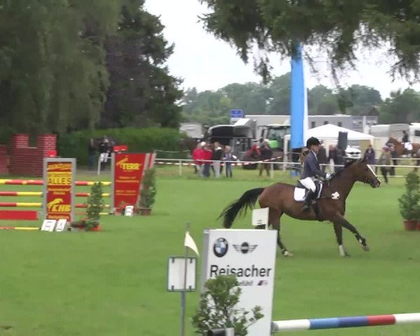 Reitturnier Memmingen 2016